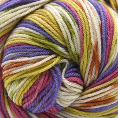 Cascade Yarns Heritage Prints 2023