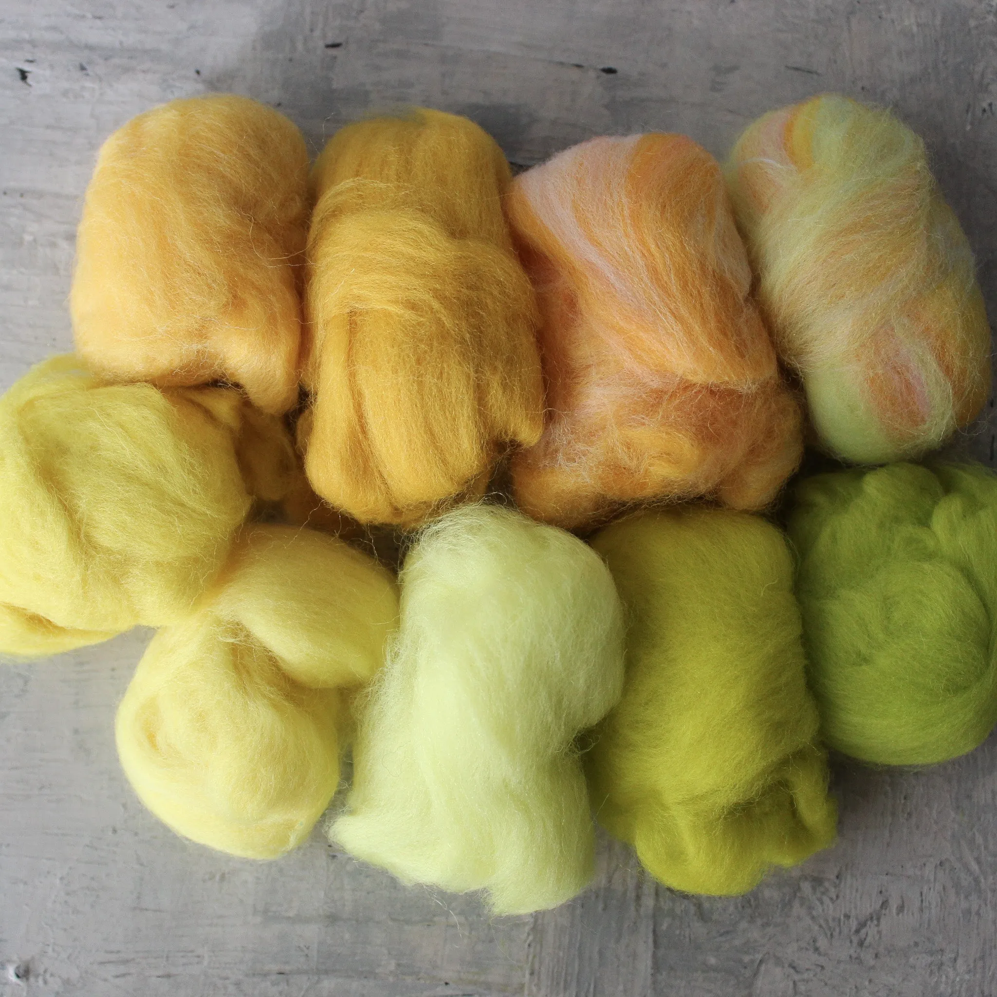 Coloured Wool Fleece Roving