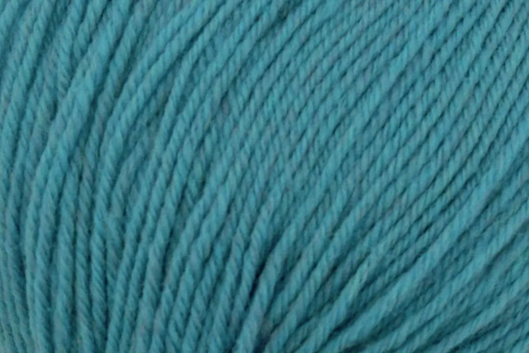 Deluxe Worsted Superwash