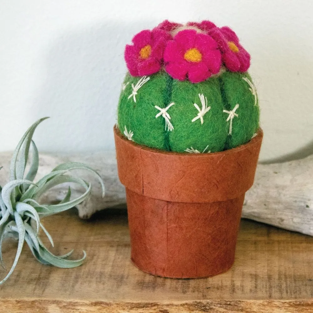 Felt Flowering Small Cactus