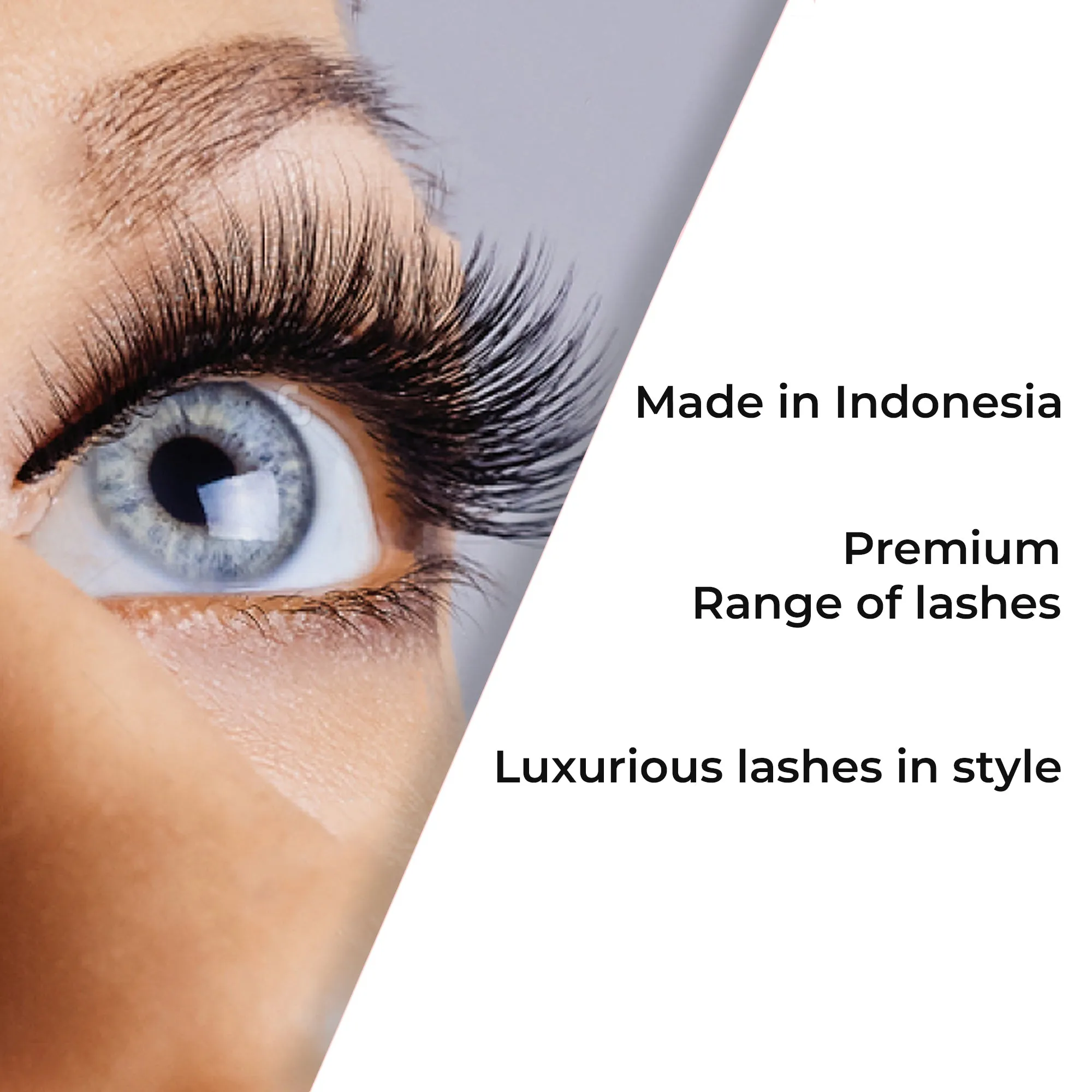 Professional Individual Mega Ultra Thick Lashes, 12 Ply Flare Black, Knot Free & Medium For Mega Volume (BF1011-Medium)