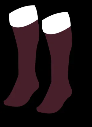 QEII High School - Sports Socks