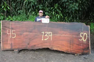 Slab K18021