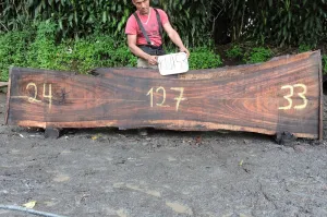 Slab K18153