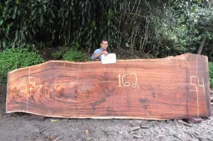 Slab K18345