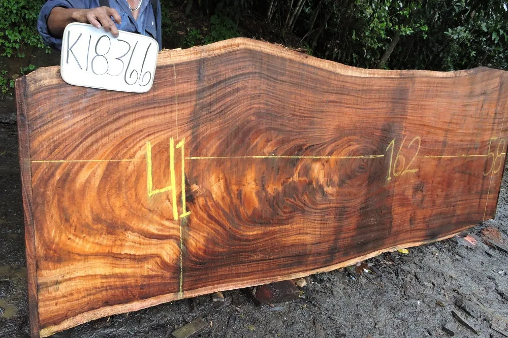 Slab K18366