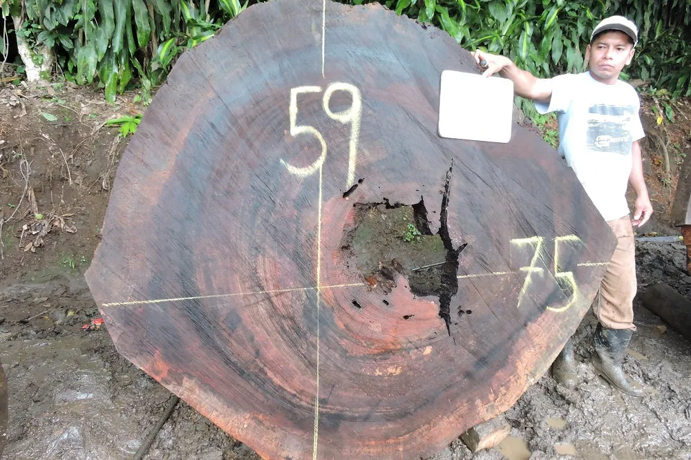 Slab LH15497