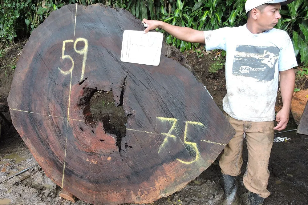 Slab LH15497