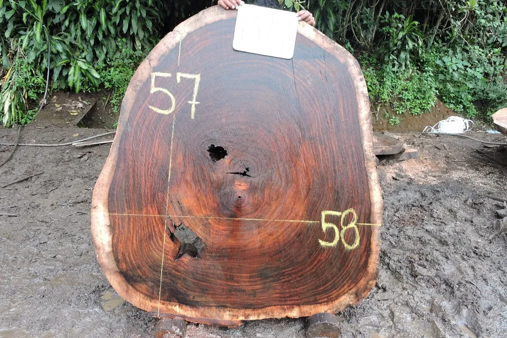 Slab LH15780
