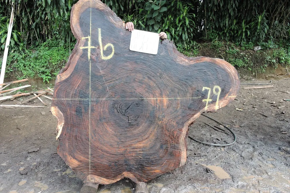 Slab LH15836