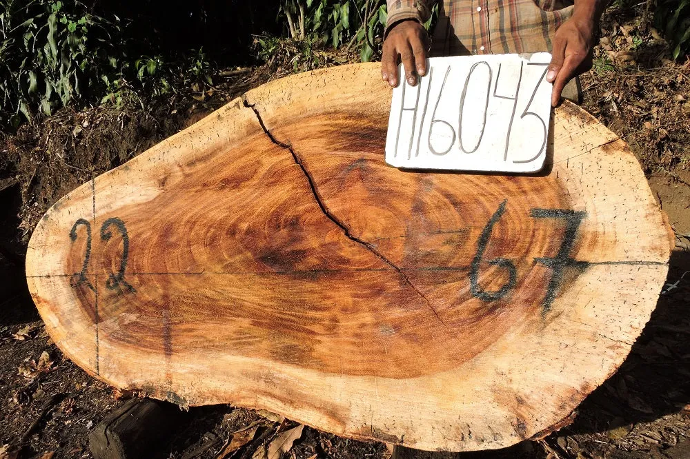 Slab LH16043