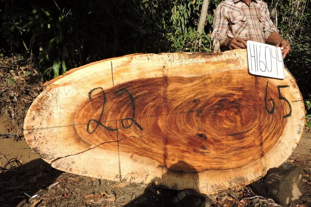 Slab LH16044