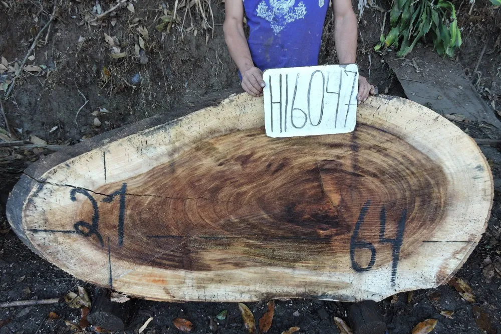 Slab LH16047