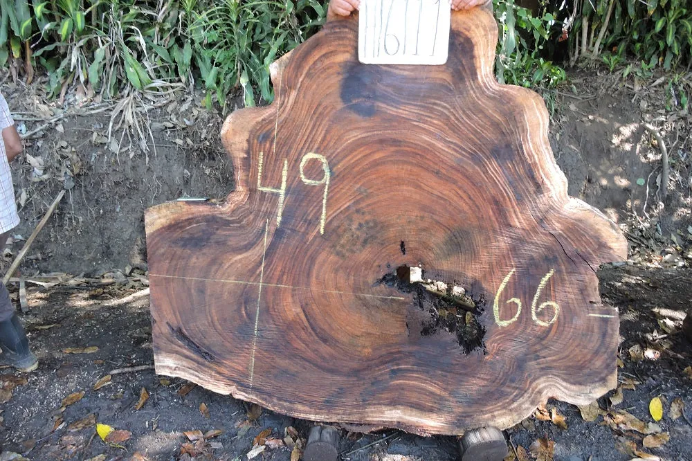 Slab LH16111